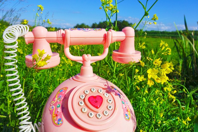 Sådan genkender du et dansk telefonnummer: En guide til landekoder og opbygning
